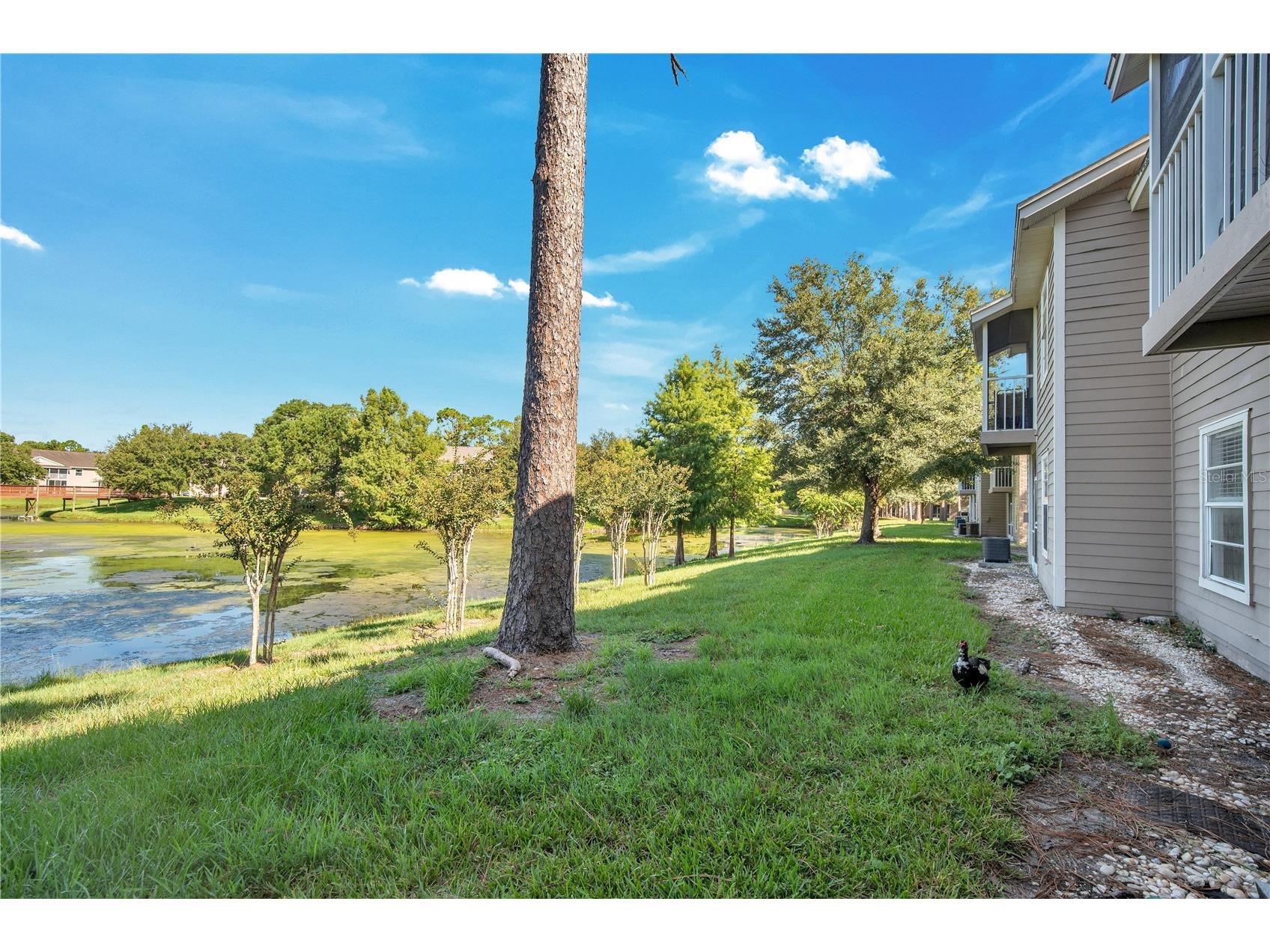 100 Reserve Circle #104 Oviedo FL 32765 O6384229 image20