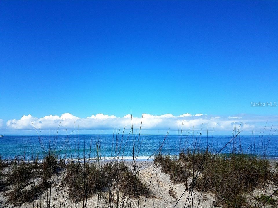 100 S Gulf Boulevard Placida FL 33946 - BOCILLA LAGOON D6143048 image33