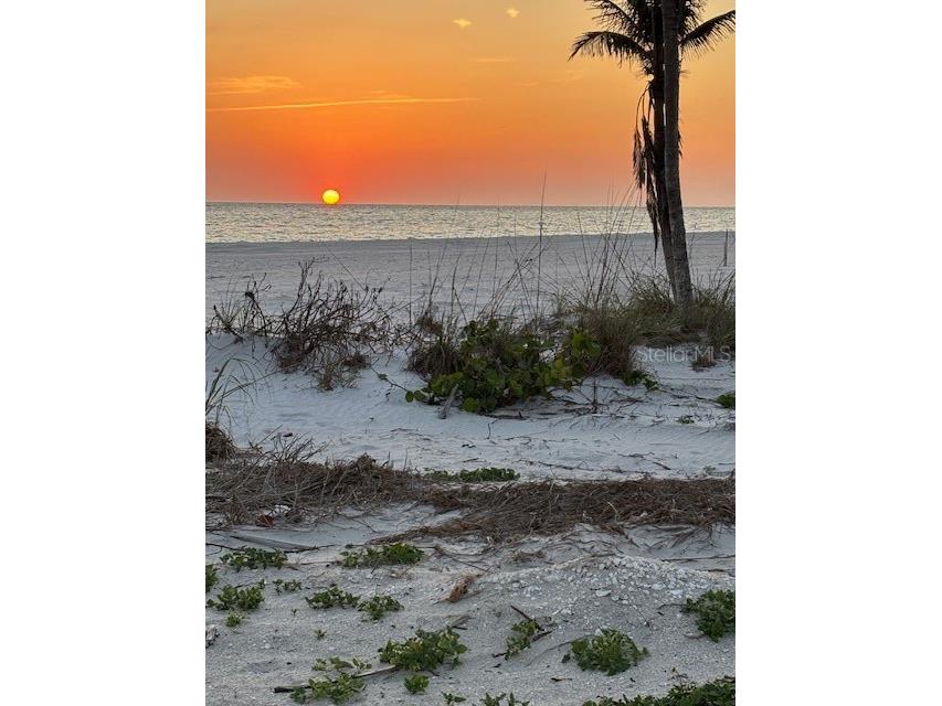 100 S Gulf Boulevard Placida FL 33946 - BOCILLA LAGOON D6143048 image34