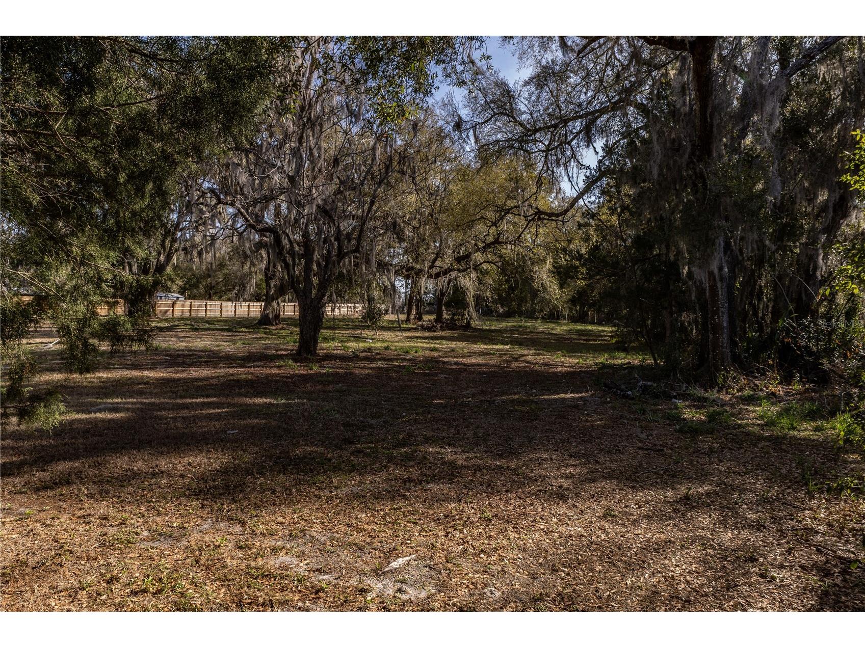 100 S Old Wire Road Wildwood FL 34785 G5110589 image3