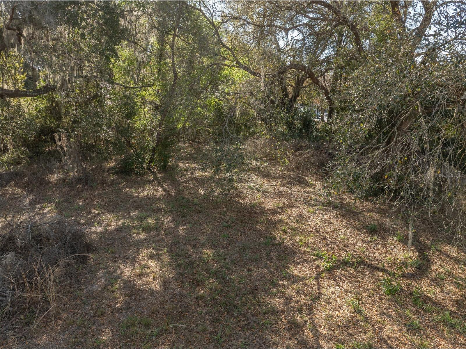 100 S Old Wire Road Wildwood FL 34785 G5110589 image9