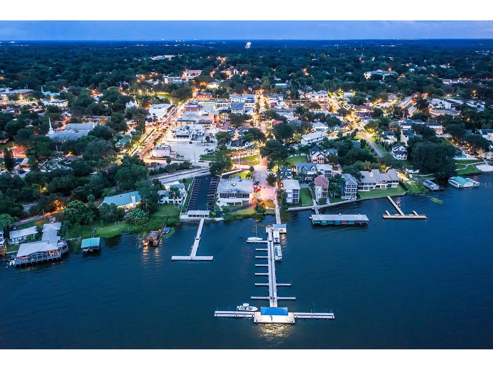 100 S Tremain Street #F1 Mount Dora FL 32757 G5105185 image54