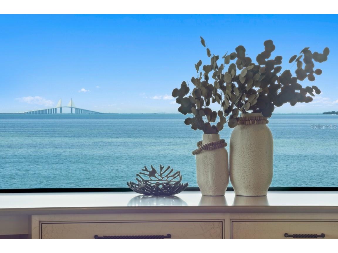 100 Sands Point Drive Tierra Verde FL 33715 TB8383607 image15