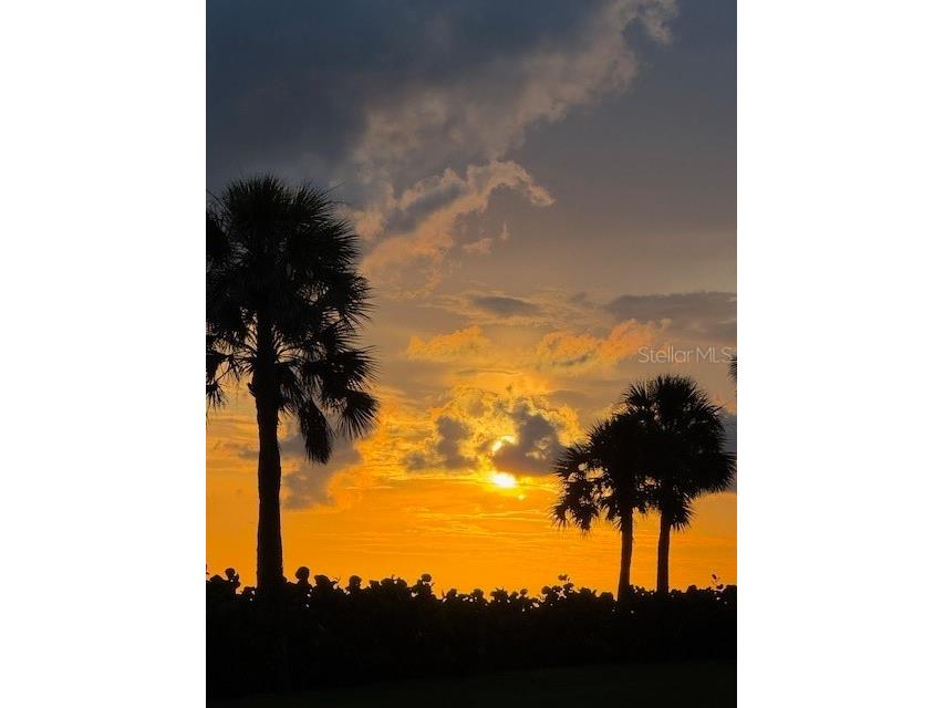 100 Sands Point Road #223 Longboat Key FL 34228 - GULF A4679103 image33