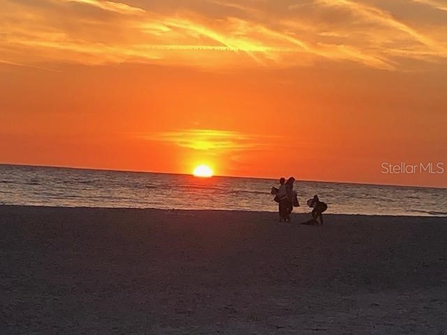 100 Sands Point Road #225 Longboat Key FL 34228 A4693834 image36