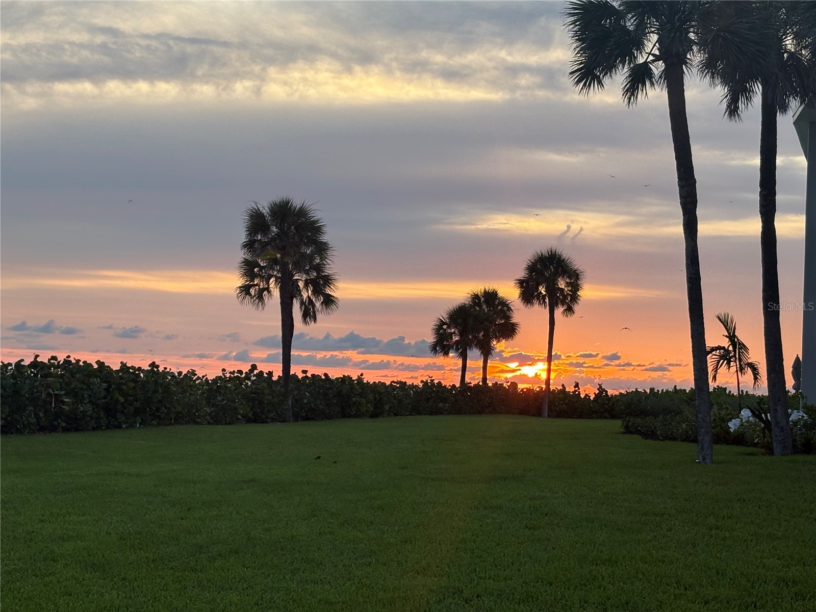 100 Sands Point Road #225 Longboat Key FL 34228 A4693834 image41
