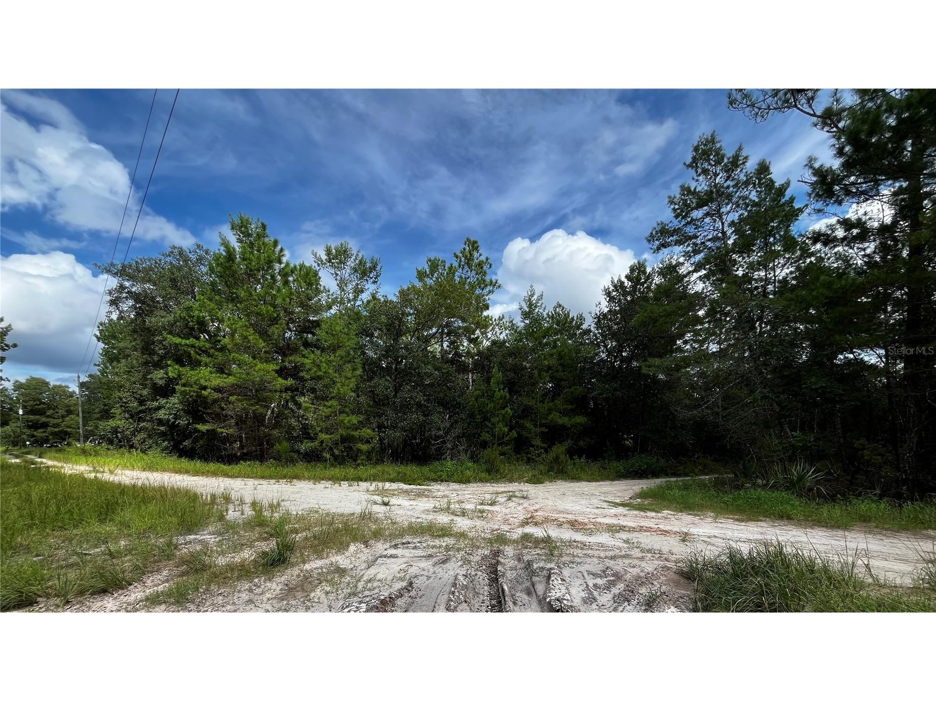 100 Sharon Drive Satsuma FL 32189 - SUGARBOWL LAKE V4938423 image1