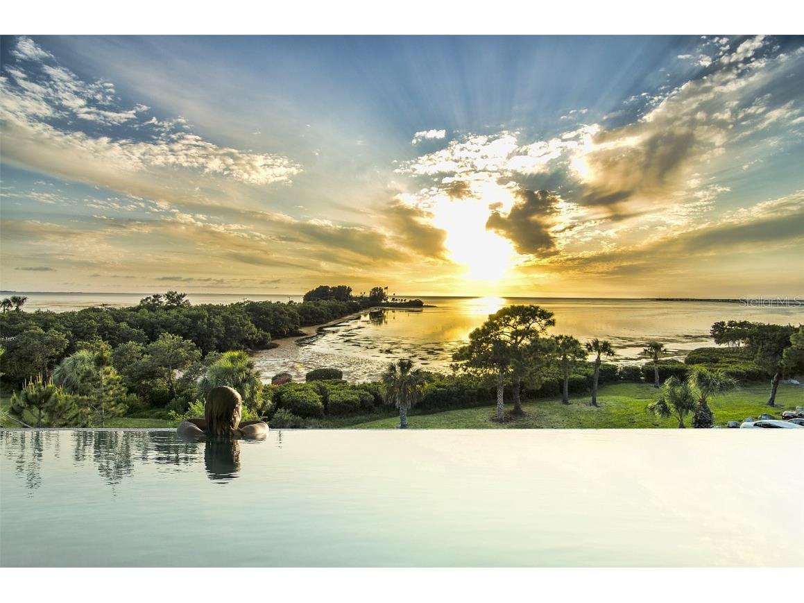 100 Shore Drive Tarpon Springs FL 34689 - GULF OF MEXICO T3550655 image11