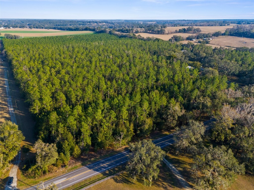 100 Spring Lake Highway Brooksville FL 34601 W7871809 image10