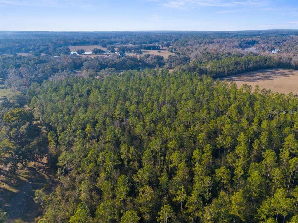 100 Spring Lake Highway Brooksville FL 34601 W7871809 image3