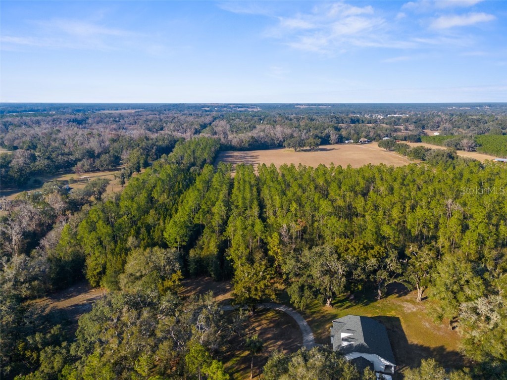 100 Spring Lake Highway Brooksville FL 34601 W7871809 image4