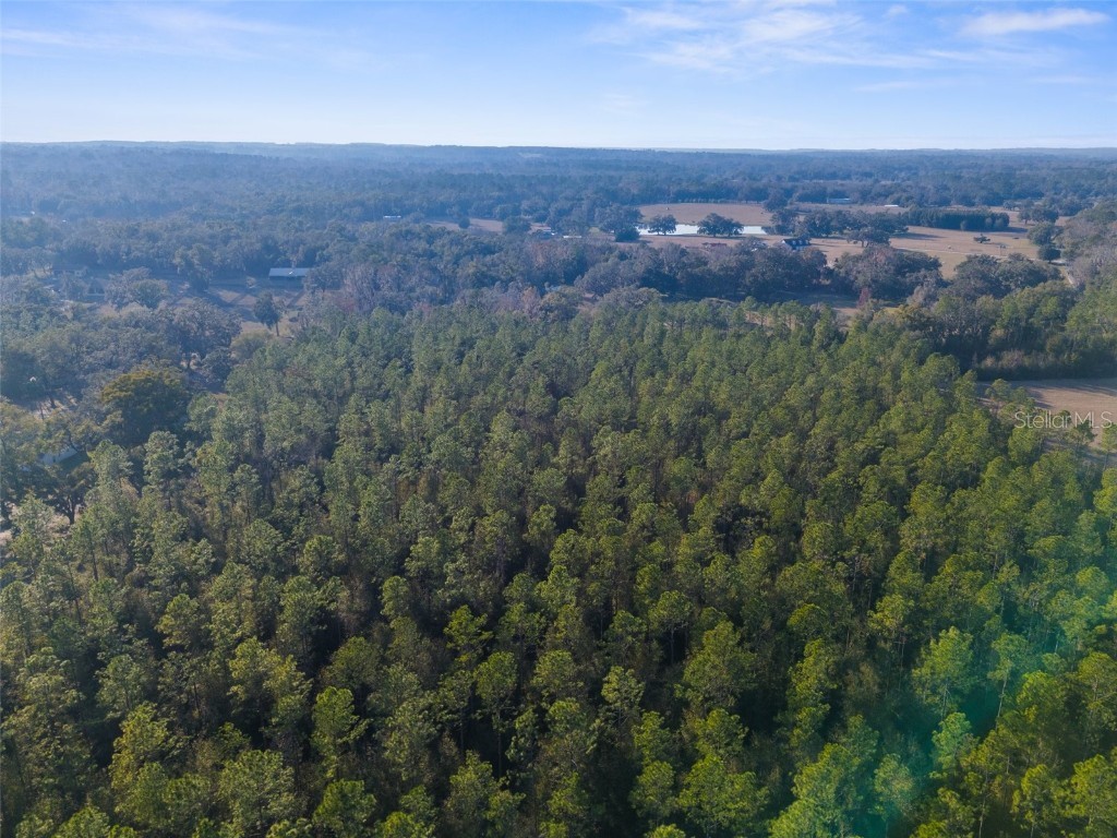 100 Spring Lake Highway Brooksville FL 34601 W7871809 image7