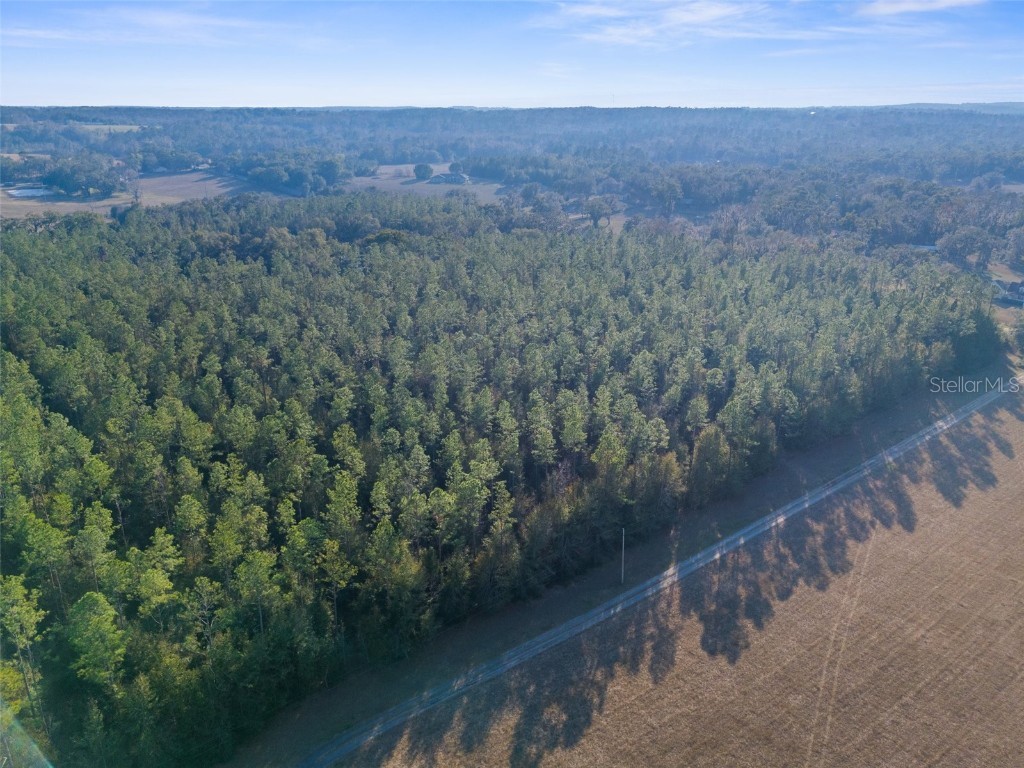 100 Spring Lake Highway Brooksville FL 34601 W7871809 image8