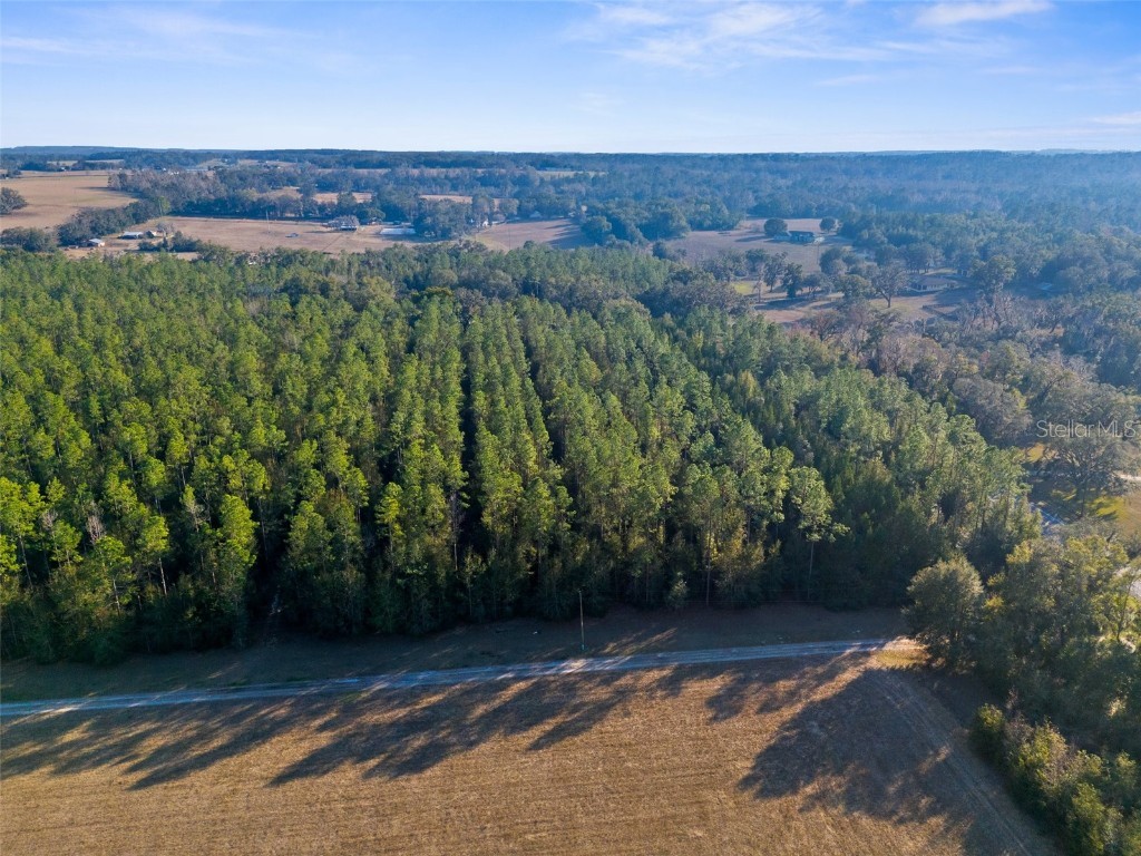 100 Spring Lake Highway Brooksville FL 34601 W7871809 image9