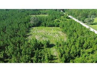 SW Carpenter Road W Lake City FL 32024 GC541518 image1