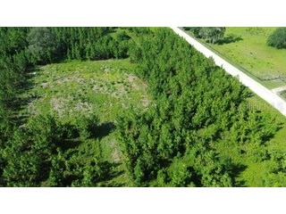SW Carpenter Road W Lake City FL 32024 GC541518 image3