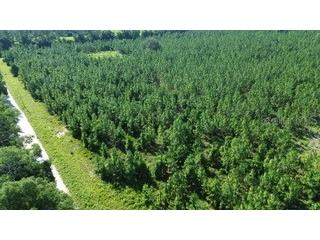 SW Carpenter Road W Lake City FL 32024 GC541518 image4