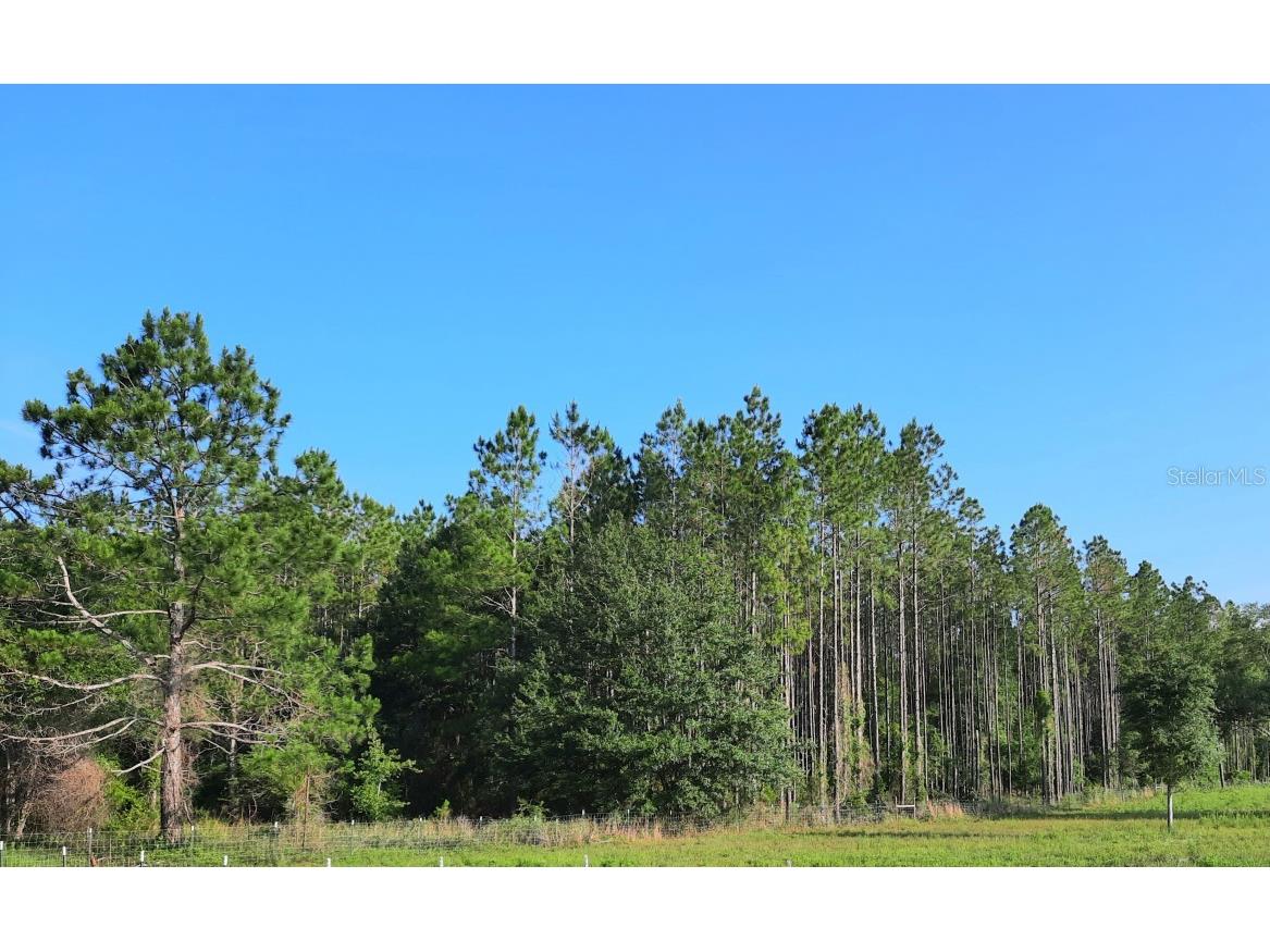 100 SW Heather Court #1 Fort White FL 32038 O6113000 image1