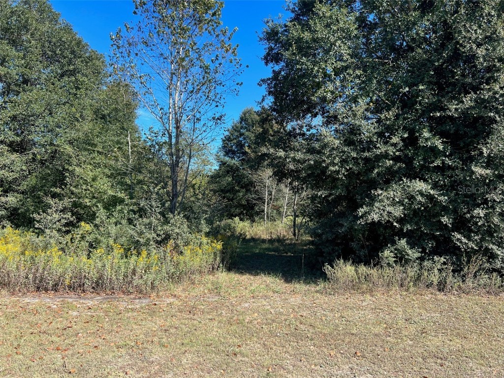 100 SW Horse Way Lake City FL 32024 GC508911 image1