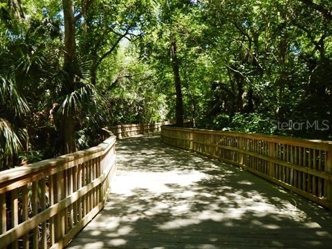 100 Sweetgum Woods Court #12C Deltona FL 32725 V4949308 image32
