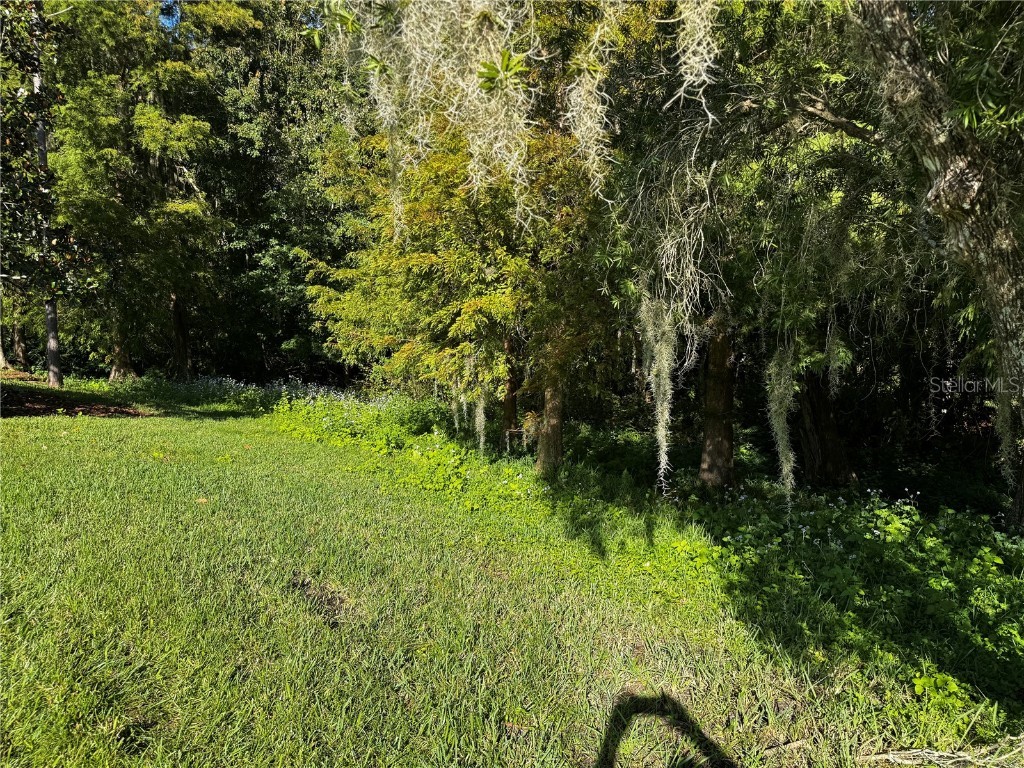 100 Vizcaya Court Poinciana FL 34759 TB8452171 image62