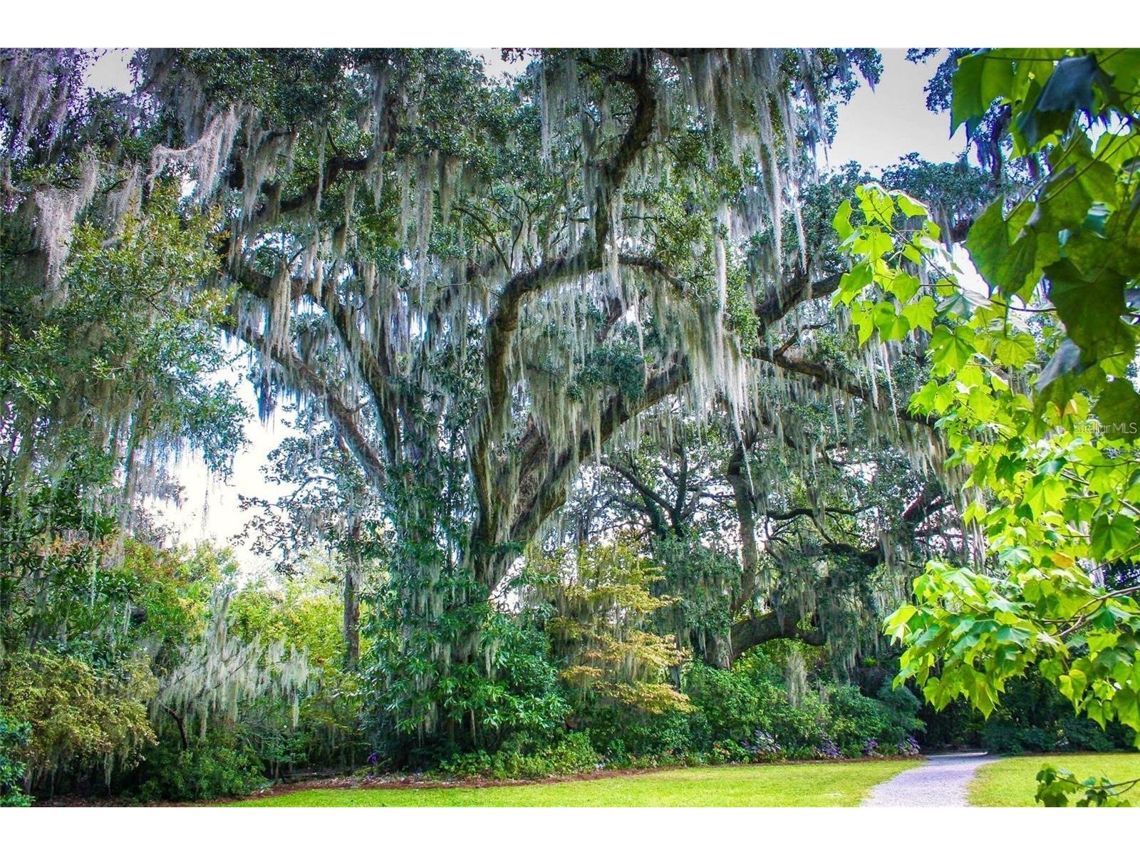 100 W Railway Avenue Oakland FL 34760 O6408609 image11