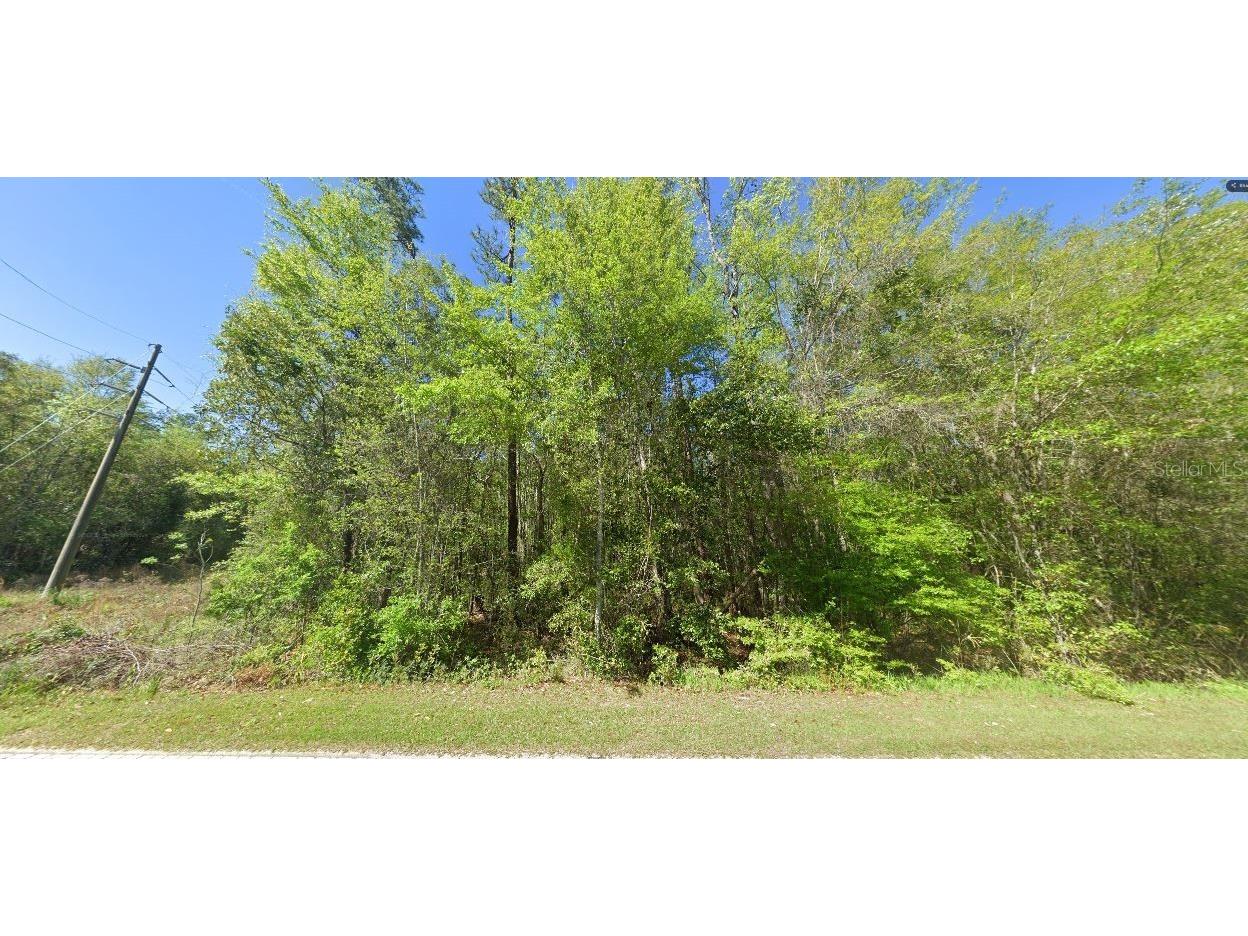 100 W State Line Road Century FL 32535 O6226988 image2