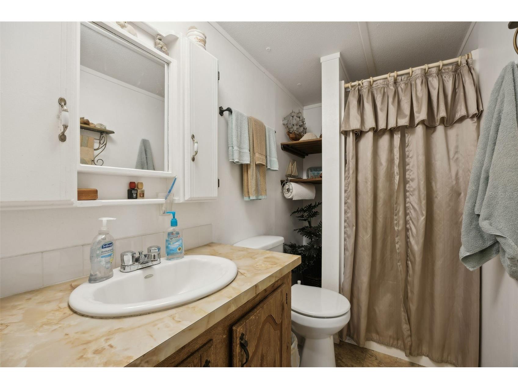 100 Waterway Avenue Satsuma FL 32189 - CANAL OFF DUNN'S CREEK GC537787 image15
