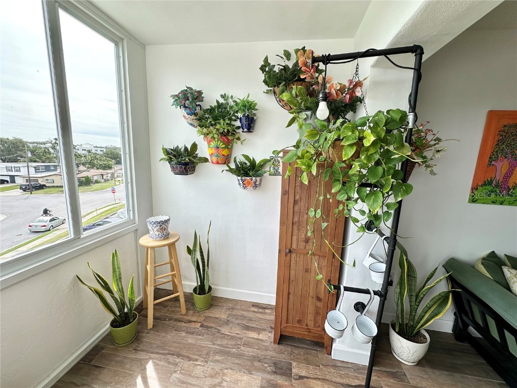 100 Waverly Way #303 Clearwater FL 33756 TB8448471 image20