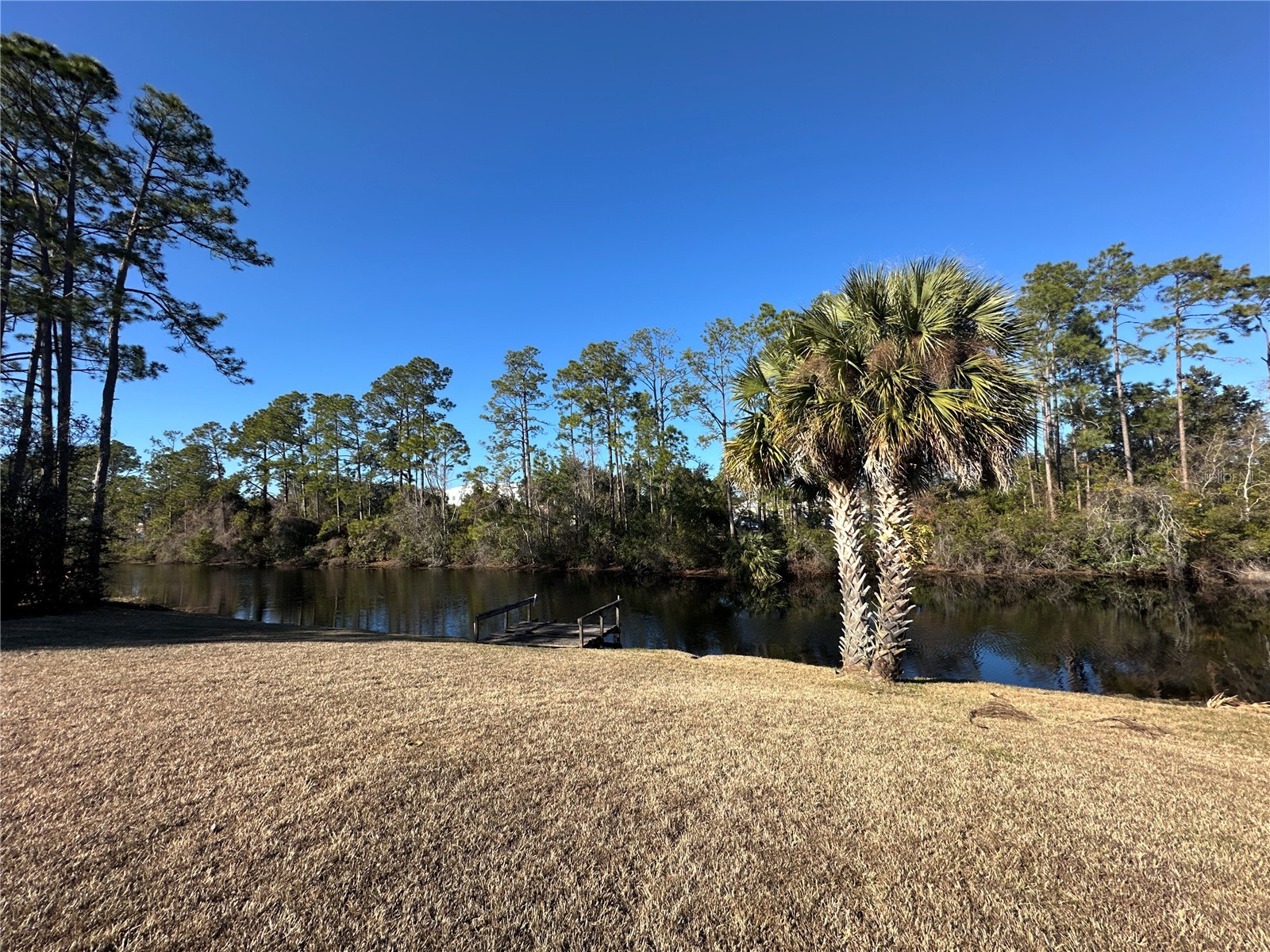 100 Webster Lane Palm Coast FL 32164 FC315876 image33