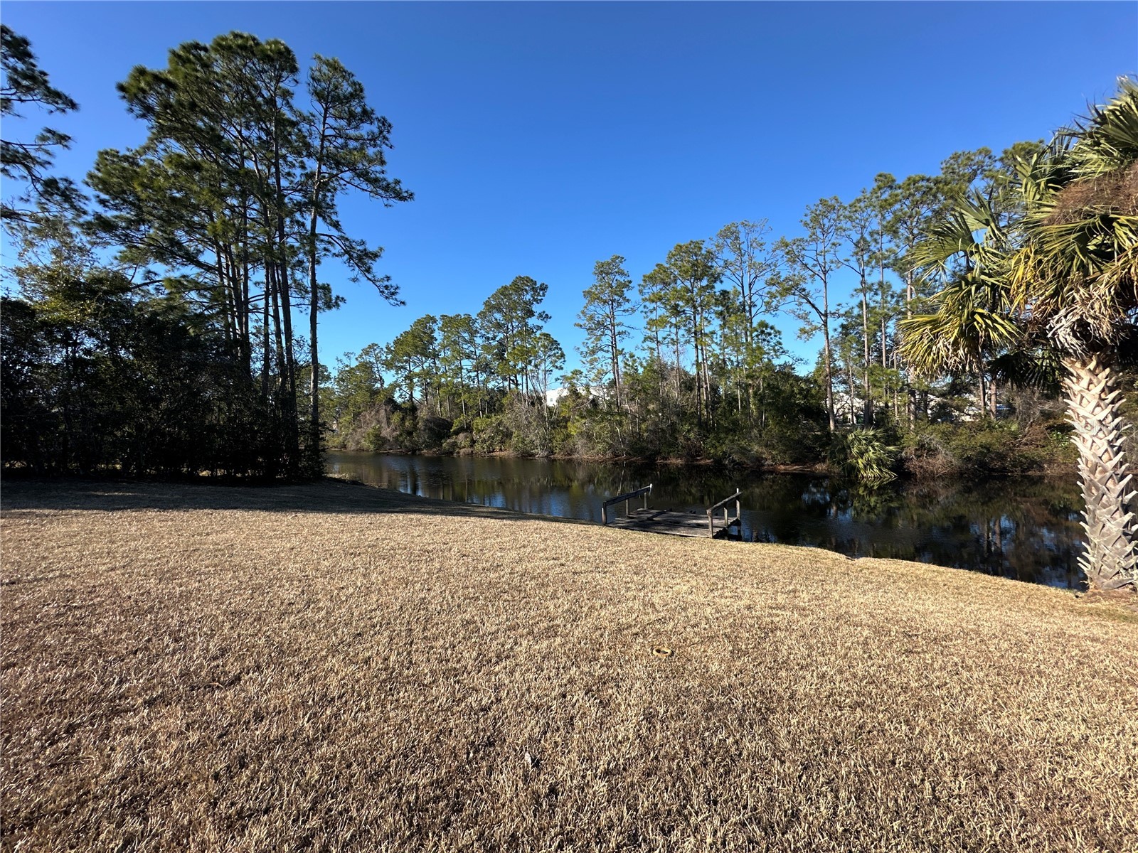 100 Webster Lane Palm Coast FL 32164 FC315876 image34