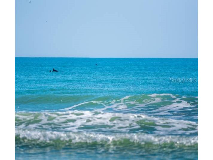 100 Windrush Boulevard #2 Indian Rocks Beach FL 33785 - PINELLAS COUNTY INTRACOASTAL TB8441049 image64