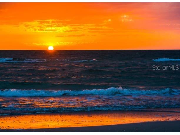 100 Windrush Boulevard #2 Indian Rocks Beach FL 33785 - PINELLAS COUNTY INTRACOASTAL TB8441049 image69