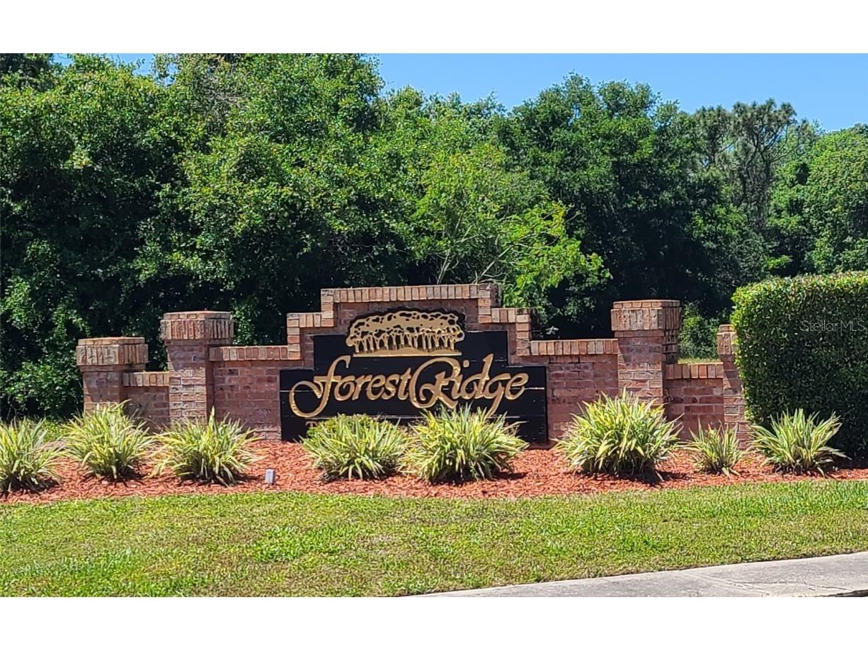 100 Wood Dove Avenue Tarpon Springs FL 34689 TB8366231 image1