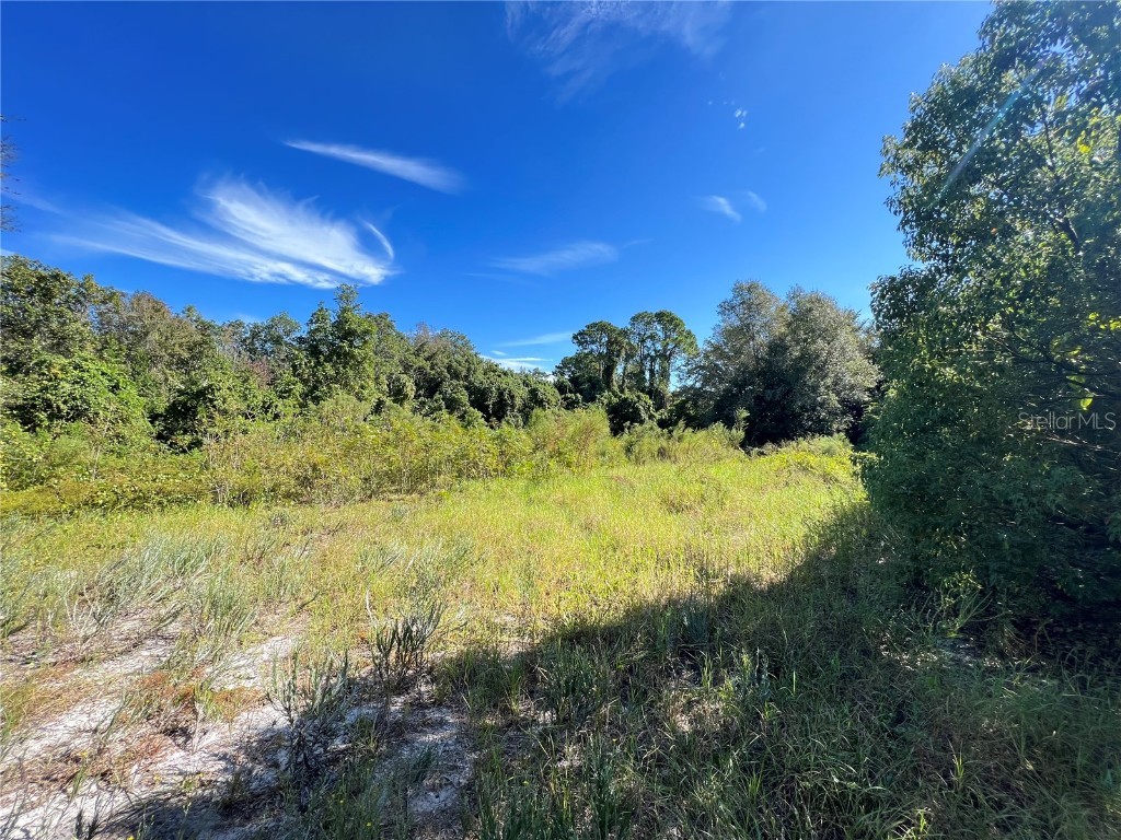 1000-1028 Palmetto Street Eustis FL 32726 O6146138 image1