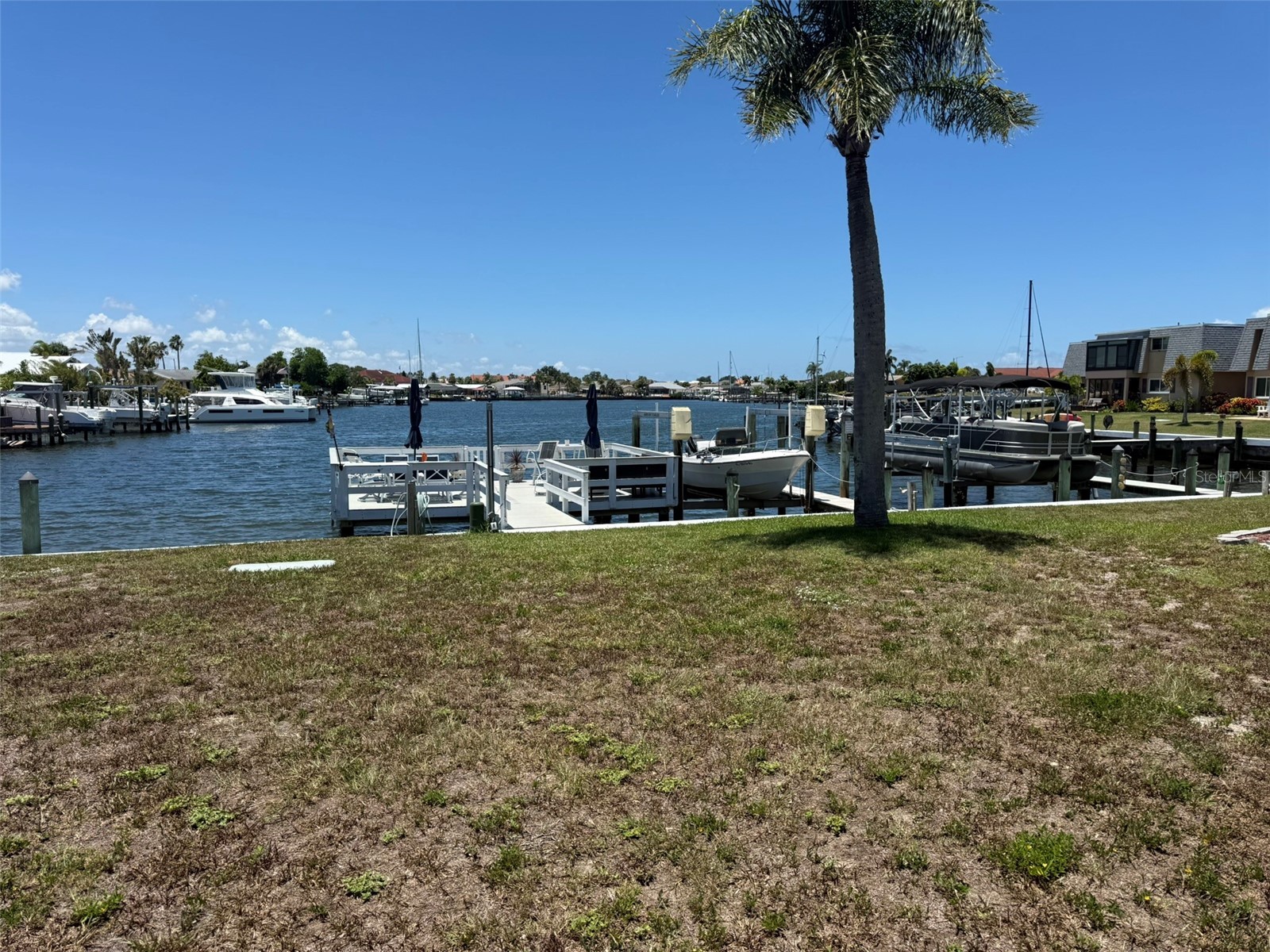 1000 Apollo Beach Boulevard #204 Apollo Beach FL 33572 TB8521473 image1