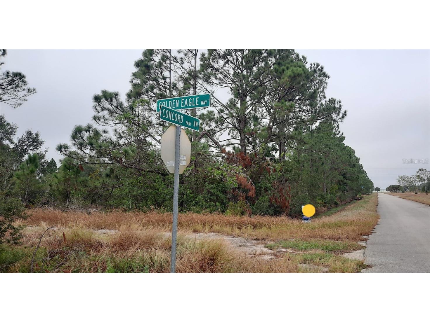 1000 Concorde Parkway NW Lake Placid FL 33852 OK222163 image1