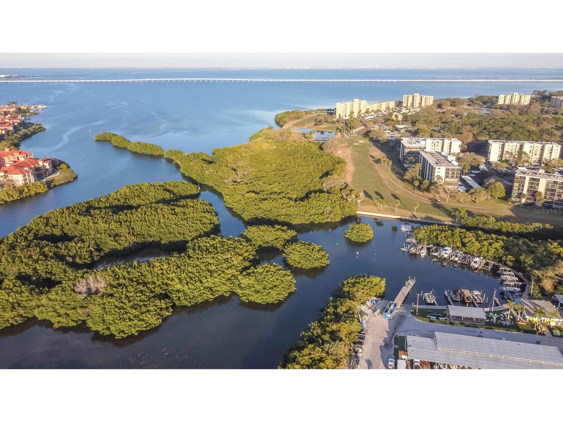 1000 Cove Cay Drive #5E Clearwater FL 33760 O6380950 image24