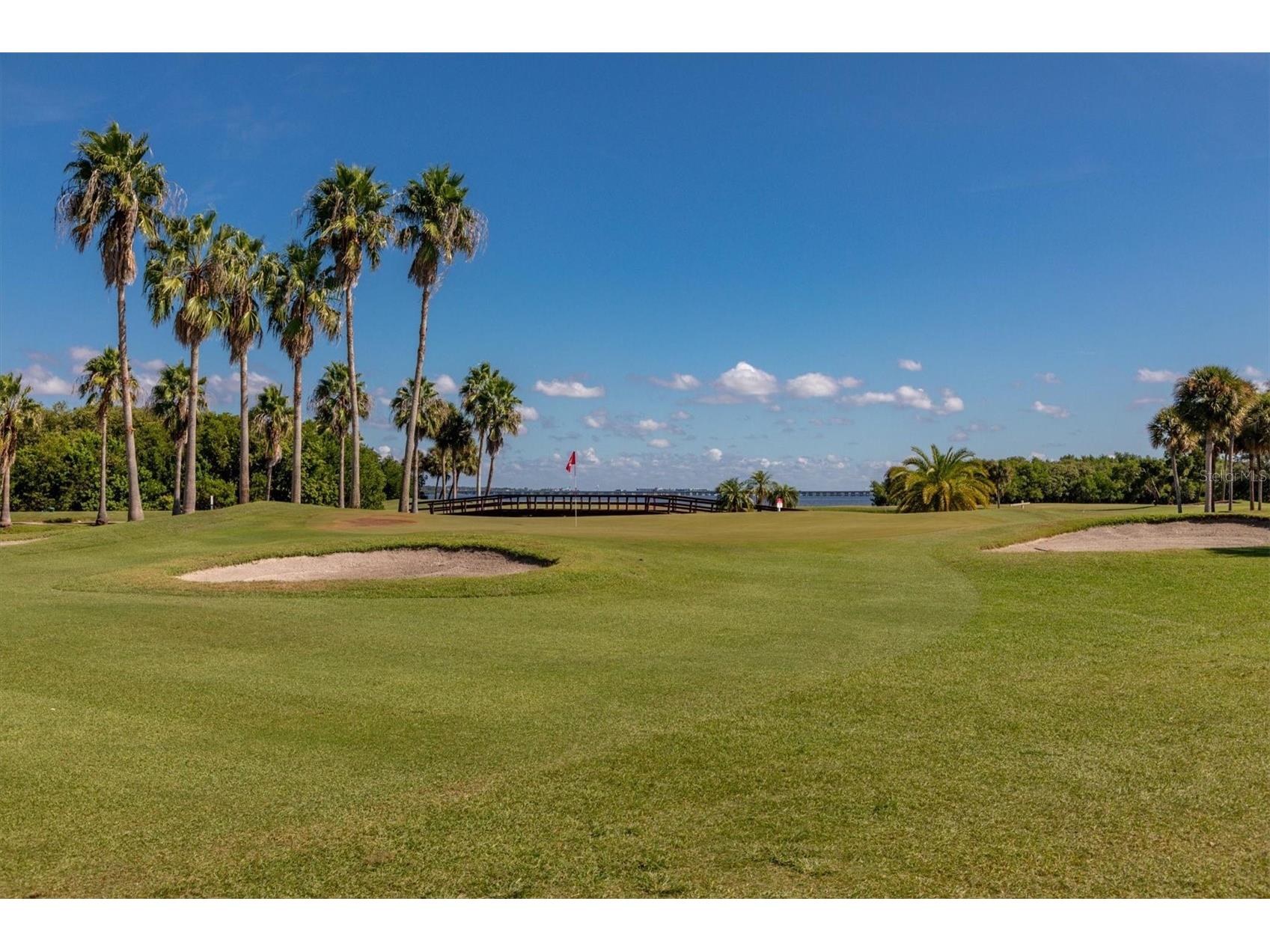 1000 Cove Cay Drive #5E Clearwater FL 33760 O6380950 image33