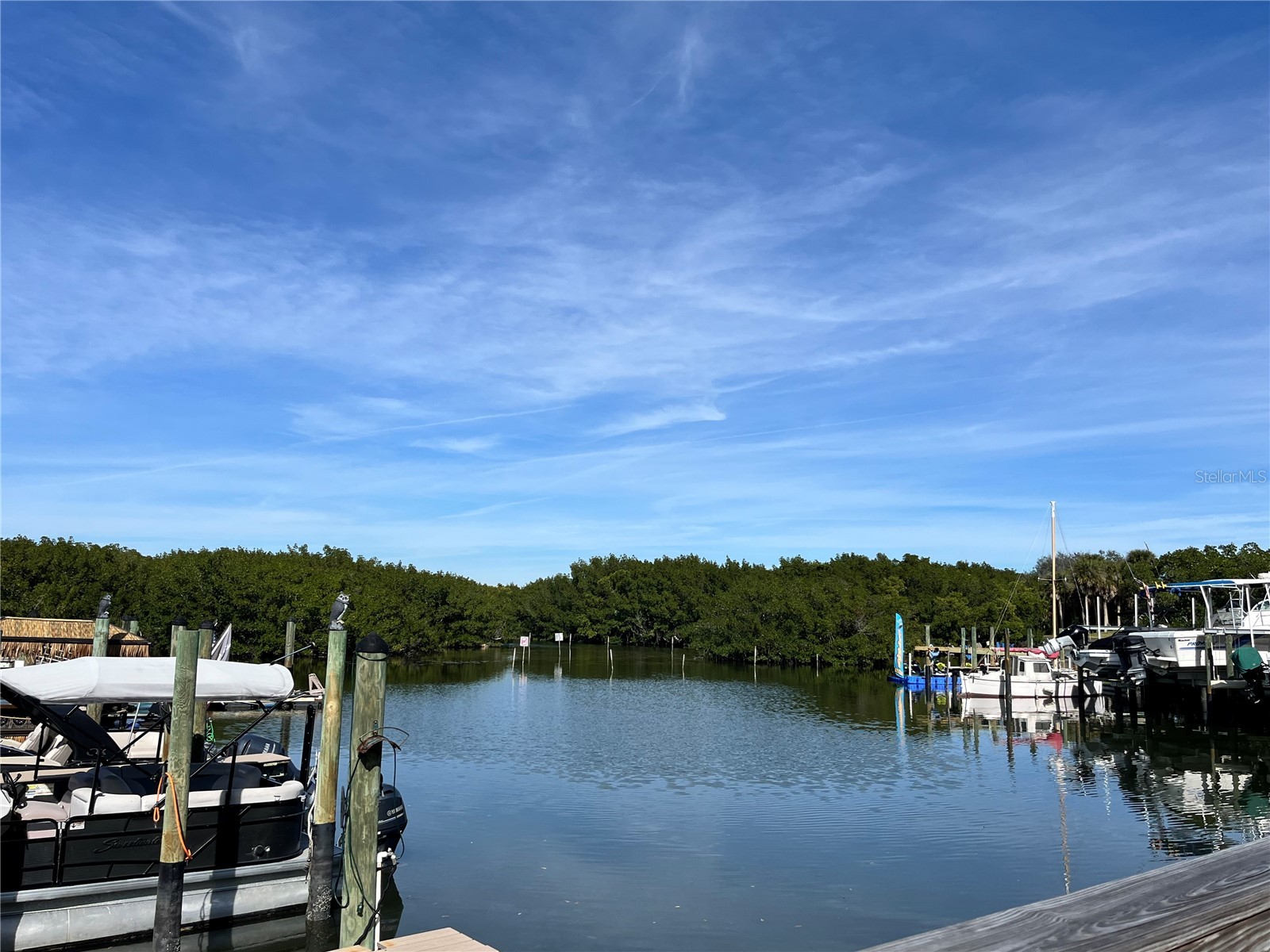 1000 Cove Cay Drive #5E Clearwater FL 33760 O6380950 image39