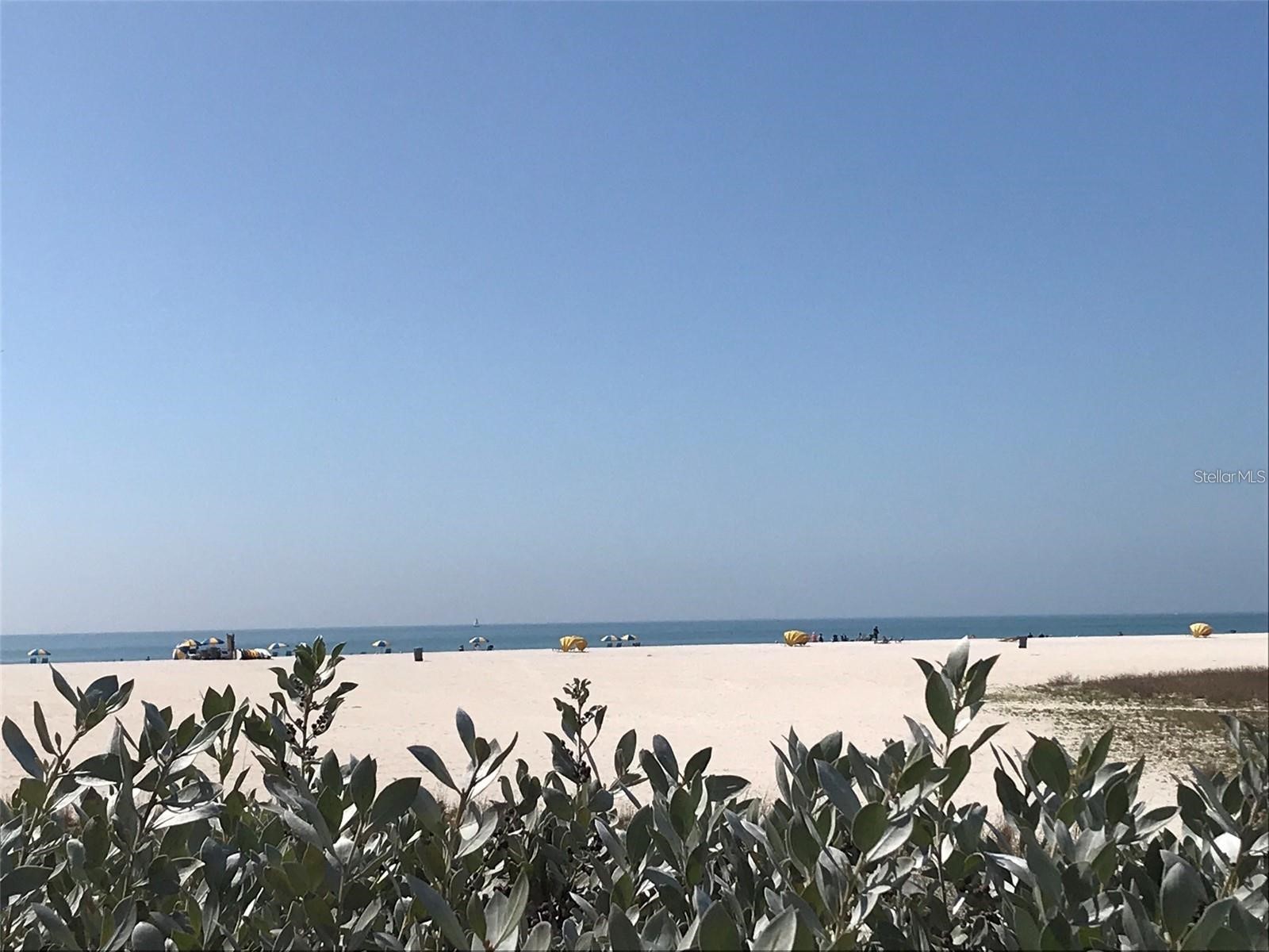 1000 Cove Cay Drive #5E Clearwater FL 33760 O6380950 image42