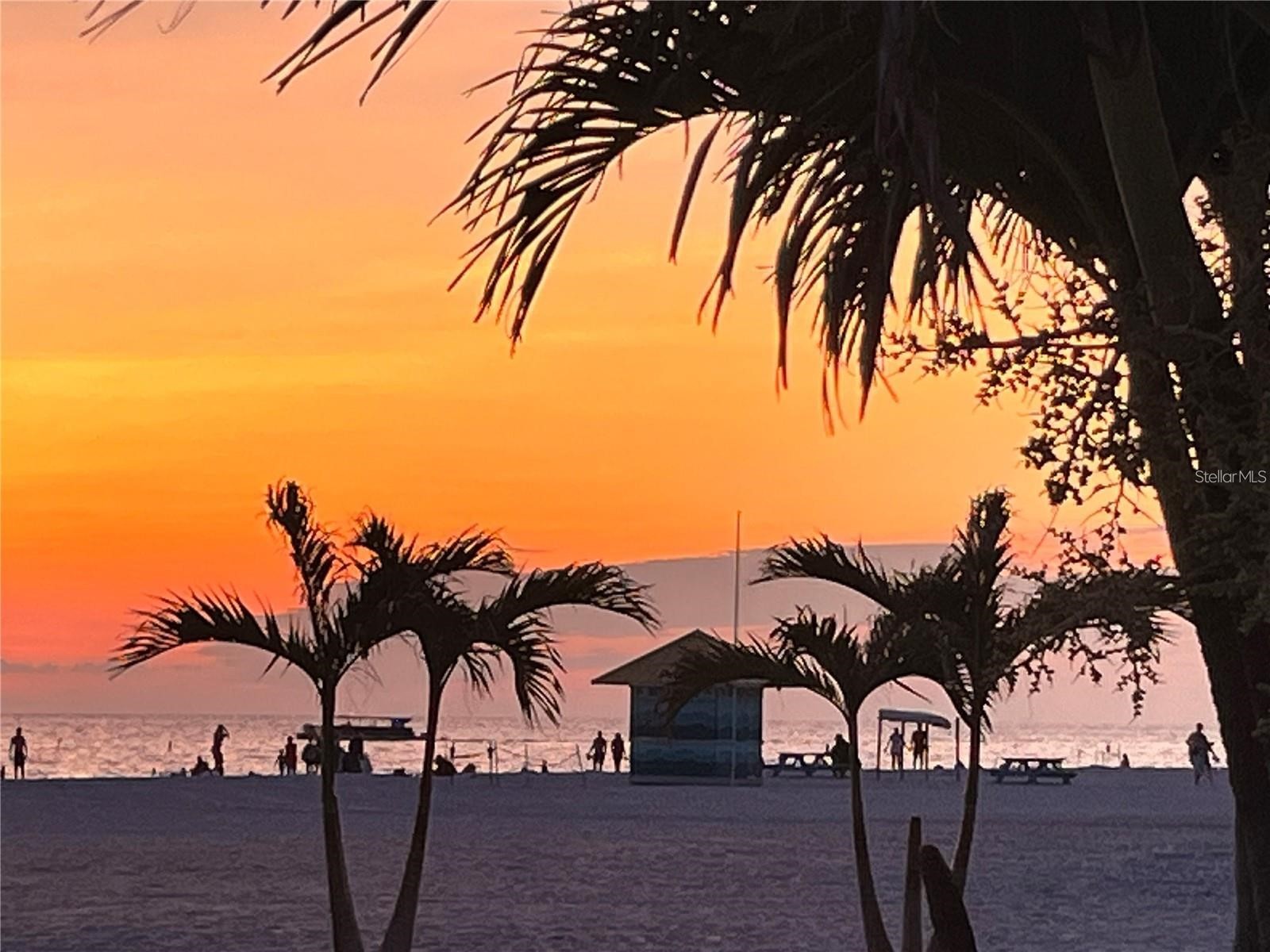 1000 Cove Cay Drive #5E Clearwater FL 33760 O6380950 image44