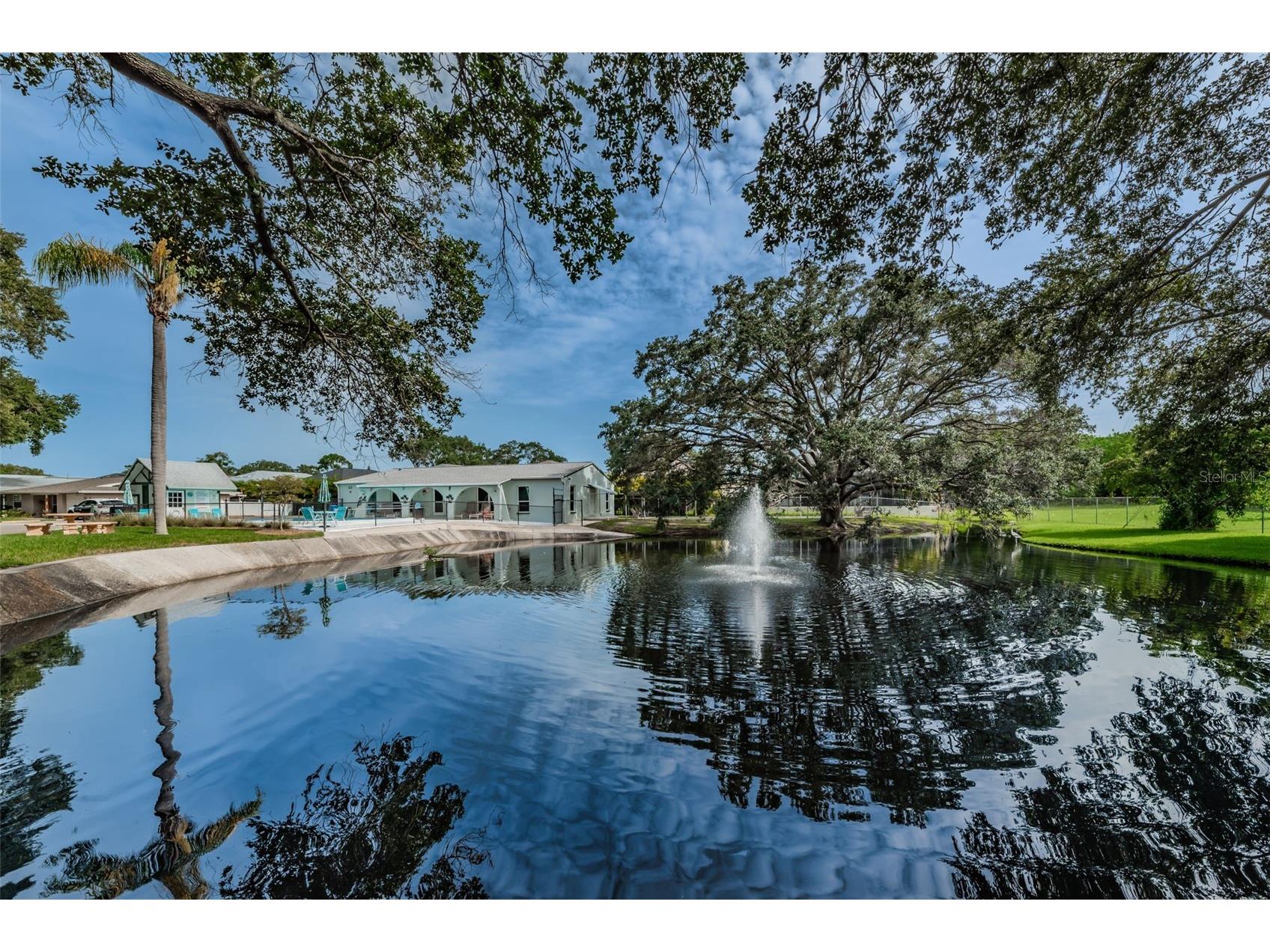 1000 Crane Court Dunedin FL 34698 TB8470466 image66