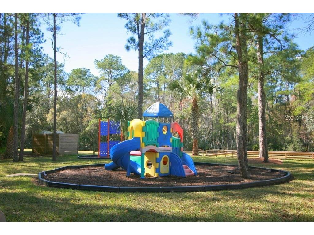 1000 Crooked Oak Court Longwood FL 32779 - LAKE BRANTLEY O6378220 image41