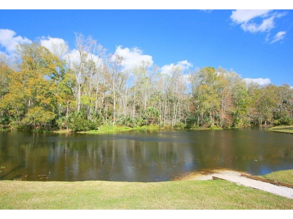 1000 Crooked Oak Court Longwood FL 32779 - LAKE BRANTLEY O6378220 image43