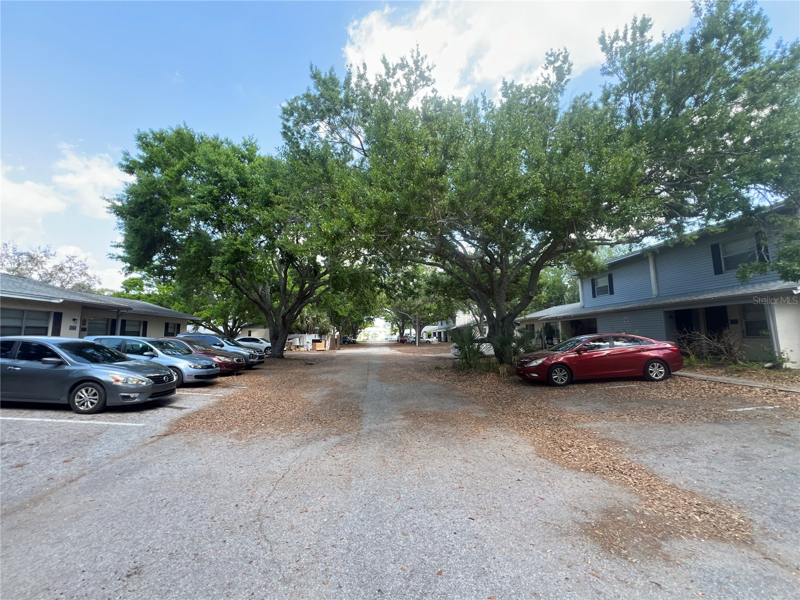 1000 E Caroline Street Tavares FL 32778 O6396568 image15