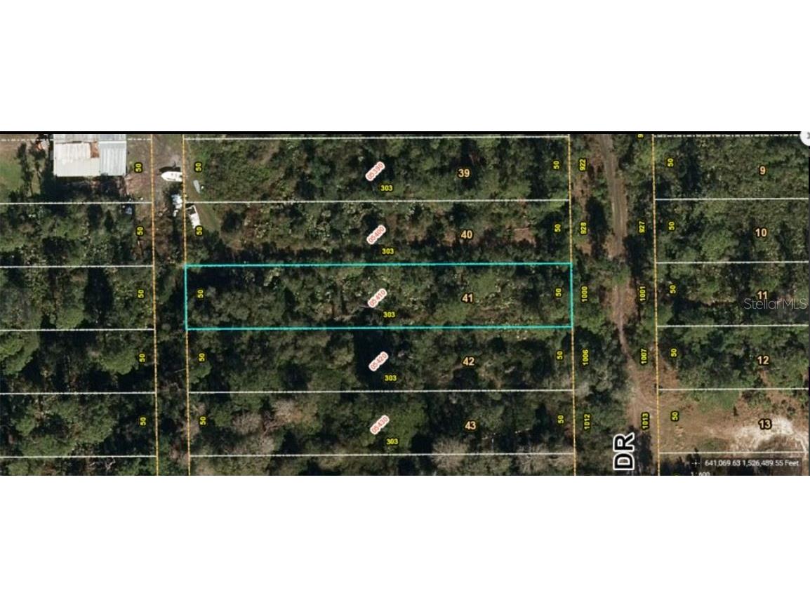 1000 Greenbriar Drive Christmas FL 32709 O6233788 image2