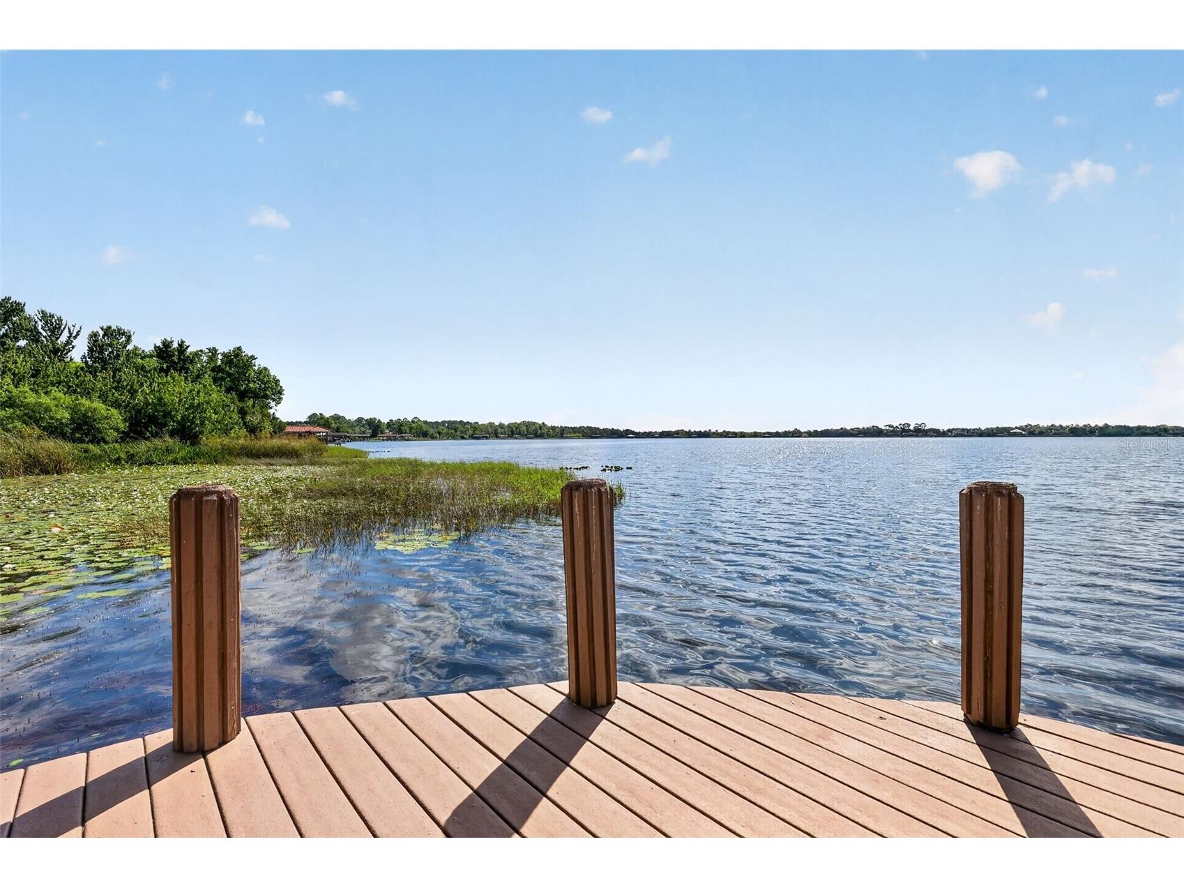 1000 Juliette Boulevard Mount Dora FL 32757 - LOCH LEVEN G5112764 image82