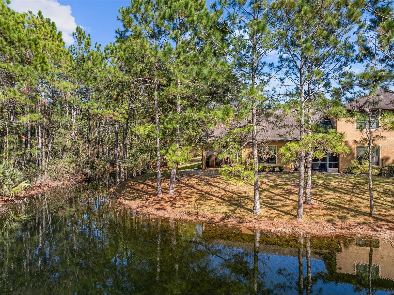 1000 Kilkenny Lane Ormond Beach FL 32174 FC315582 image39