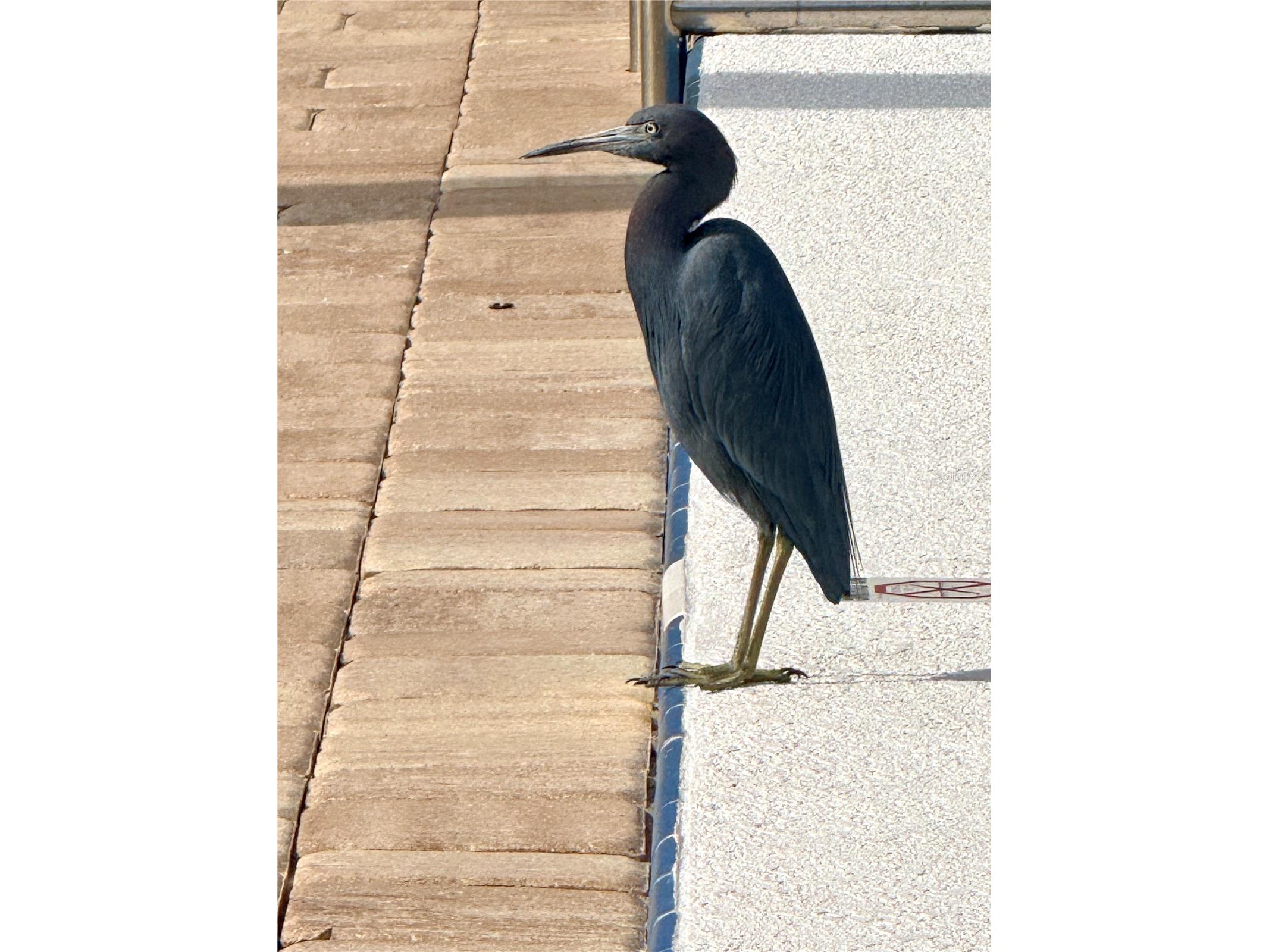 1000 Lake Of The Woods Boulevard #104A Casselberry FL 32730 V4946475 image27